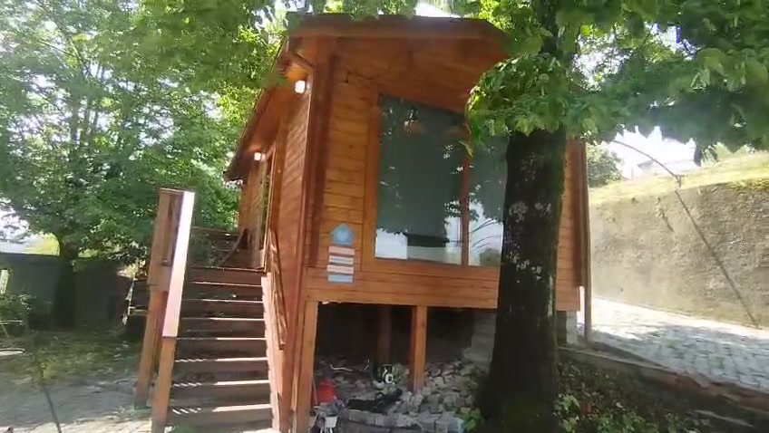 Escada de acesso em madeira à tiny house elevada entre as árvores