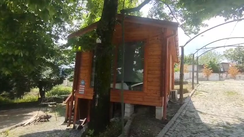 Tiny house em madeira construída junto ao tronco de uma árvore, à sombra da copa